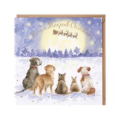 The magic of Christmas 