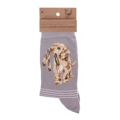 Dog Sock Hopeful