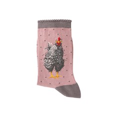 Chicken Socks Curious Hen