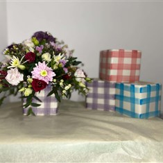 Baby Cubes