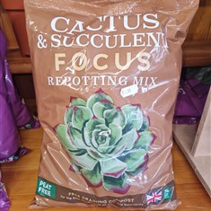 Cactus &amp; Succulent Focus Potting Mix 3 litres